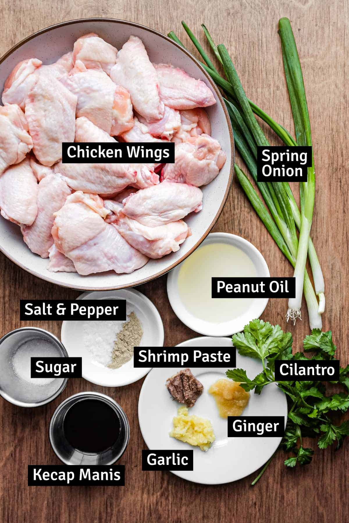 The ingredients for Indonesian chicken wings: chicken wings, spring onion, salt & pepper, shrimp paste, sugar, garlic and ginger.