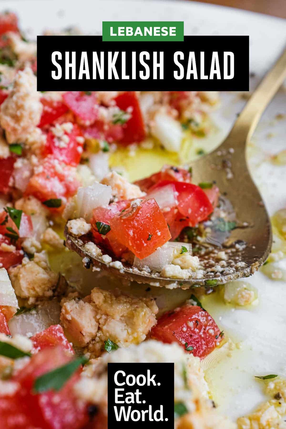 A bowl of Lebanese Shanklish Salad with a spoon