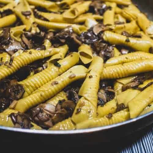 Garganelli Pasta with Mushroom Sauce