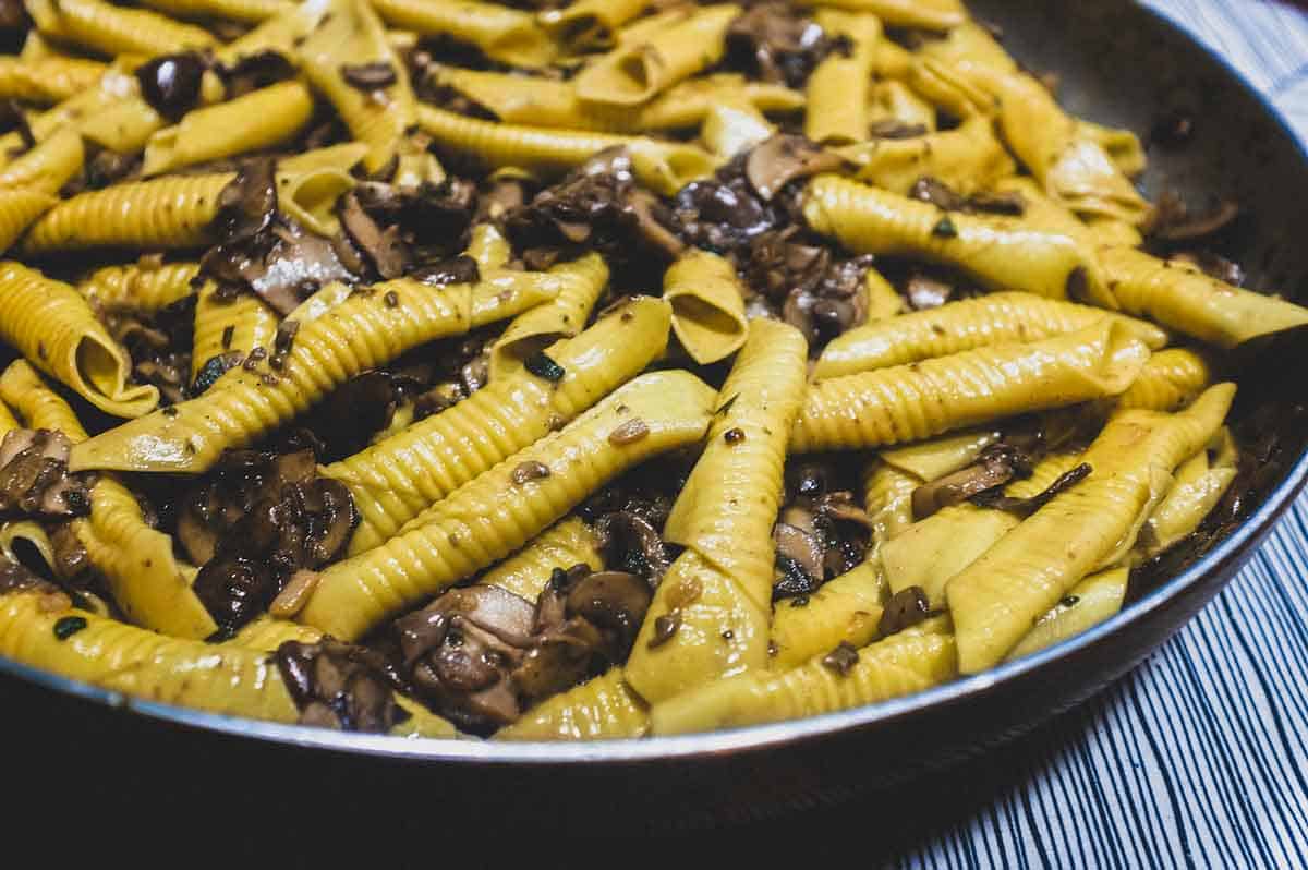 Garganelli Pasta with Mushroom Sauce