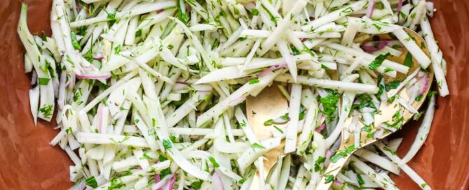 A bowl of Italian fennel and apple salad