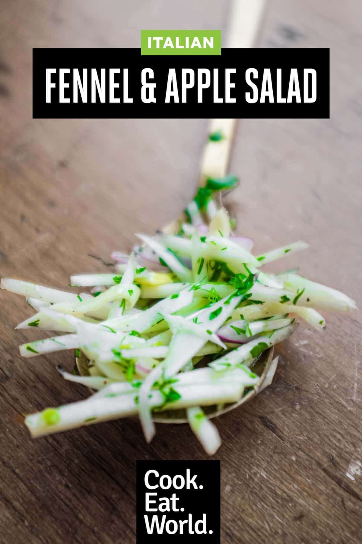 A spoon of Italian fennel and apple salad