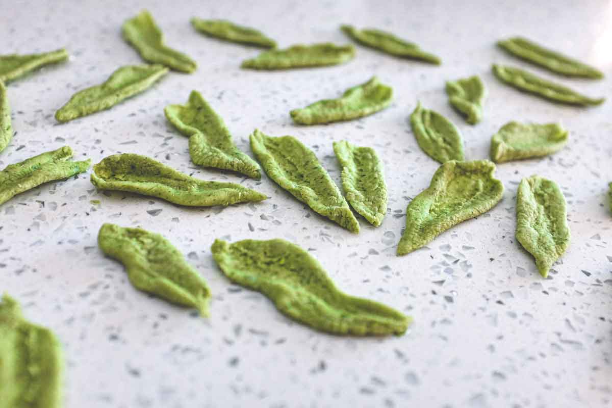 Pasta shapes made with spinach shaped into olive leaf shapes - foglie d'ulivo