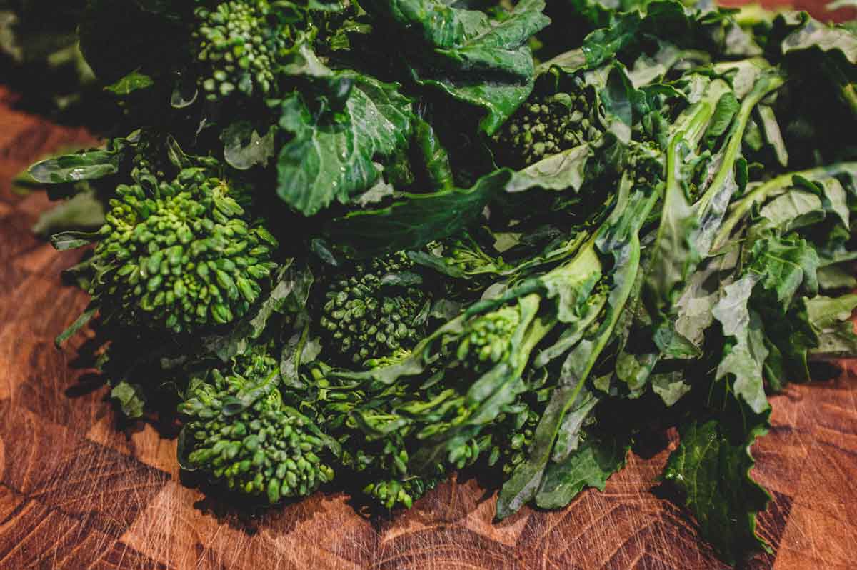 Orecchiette with Sausage & Broccoli Rabe