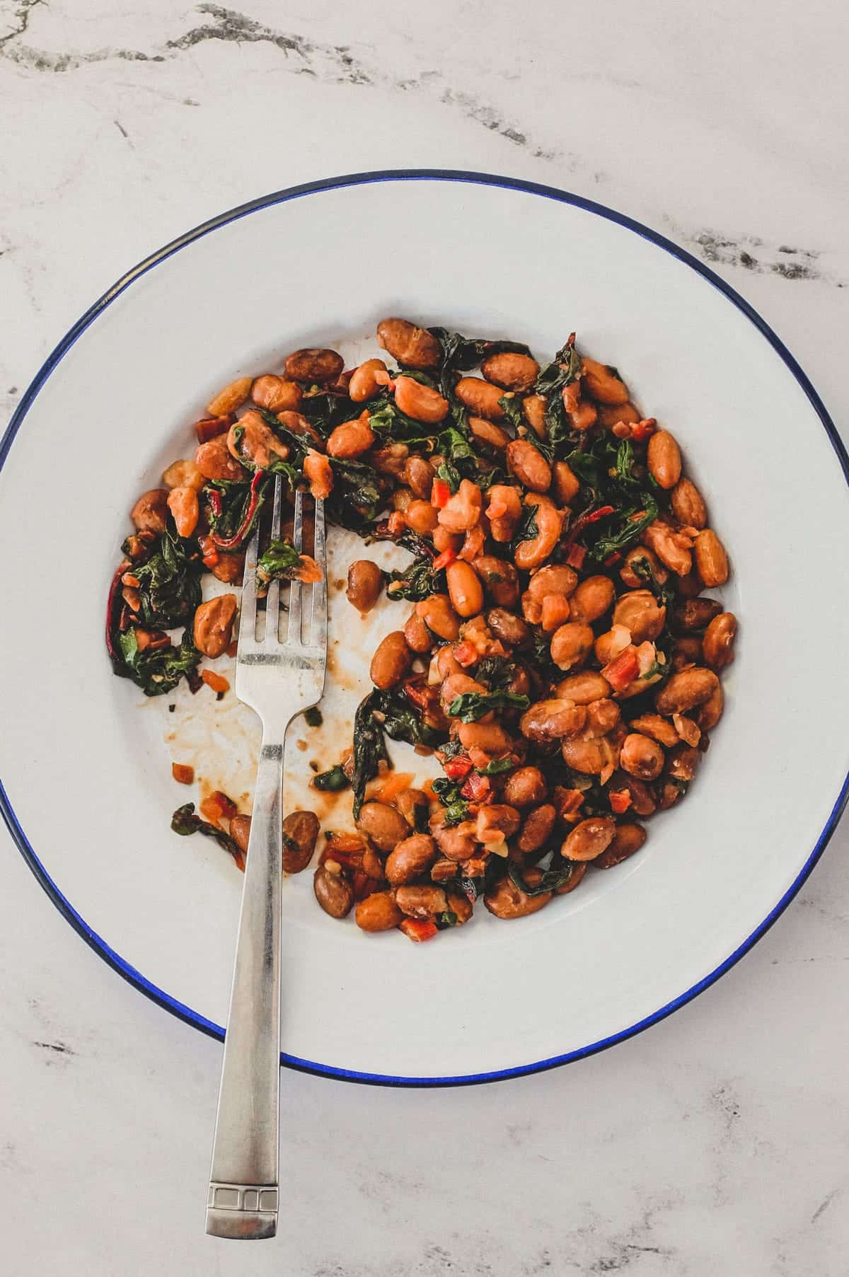 Borlotti beans cooked with chard (silverbeet) on a plate with a fork