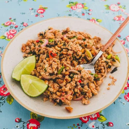Ground chicken combined with Laotian aromatics and spices to a form a dry, spicy chicken salad. The platter sits on a colourful, floral tablecloth - like the kind you find in South East Asian markets.