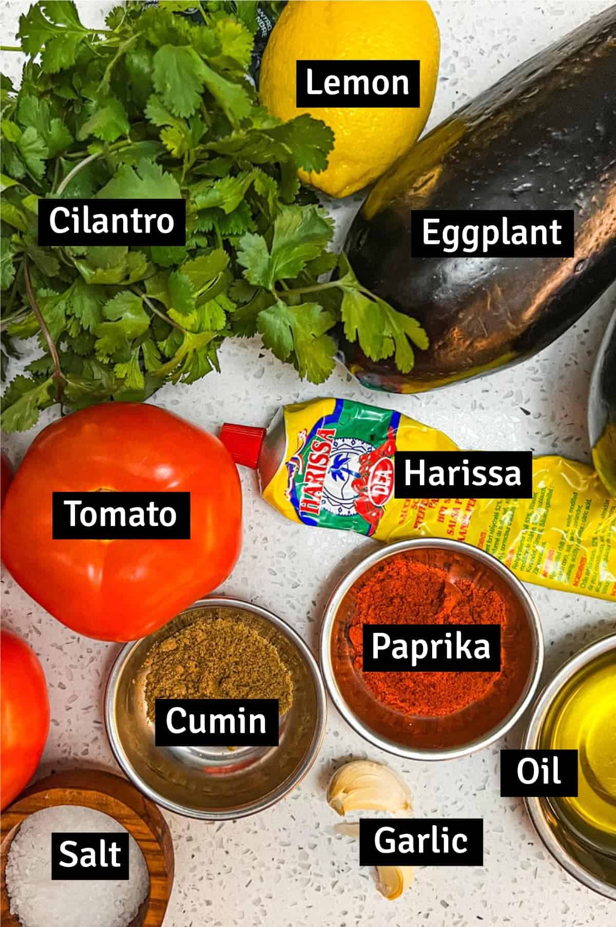 Ingredients for zaalouk including harissa, tomatoes, oil and cilantro.