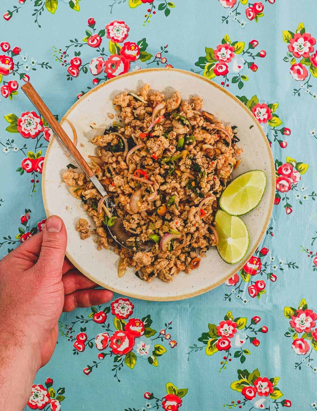 Ground chicken combined with Laotian aromatics and spices to a form a dry, spicy chicken salad. The platter sits on a colourful, floral tablecloth - like the kind you find in South East Asian markets.