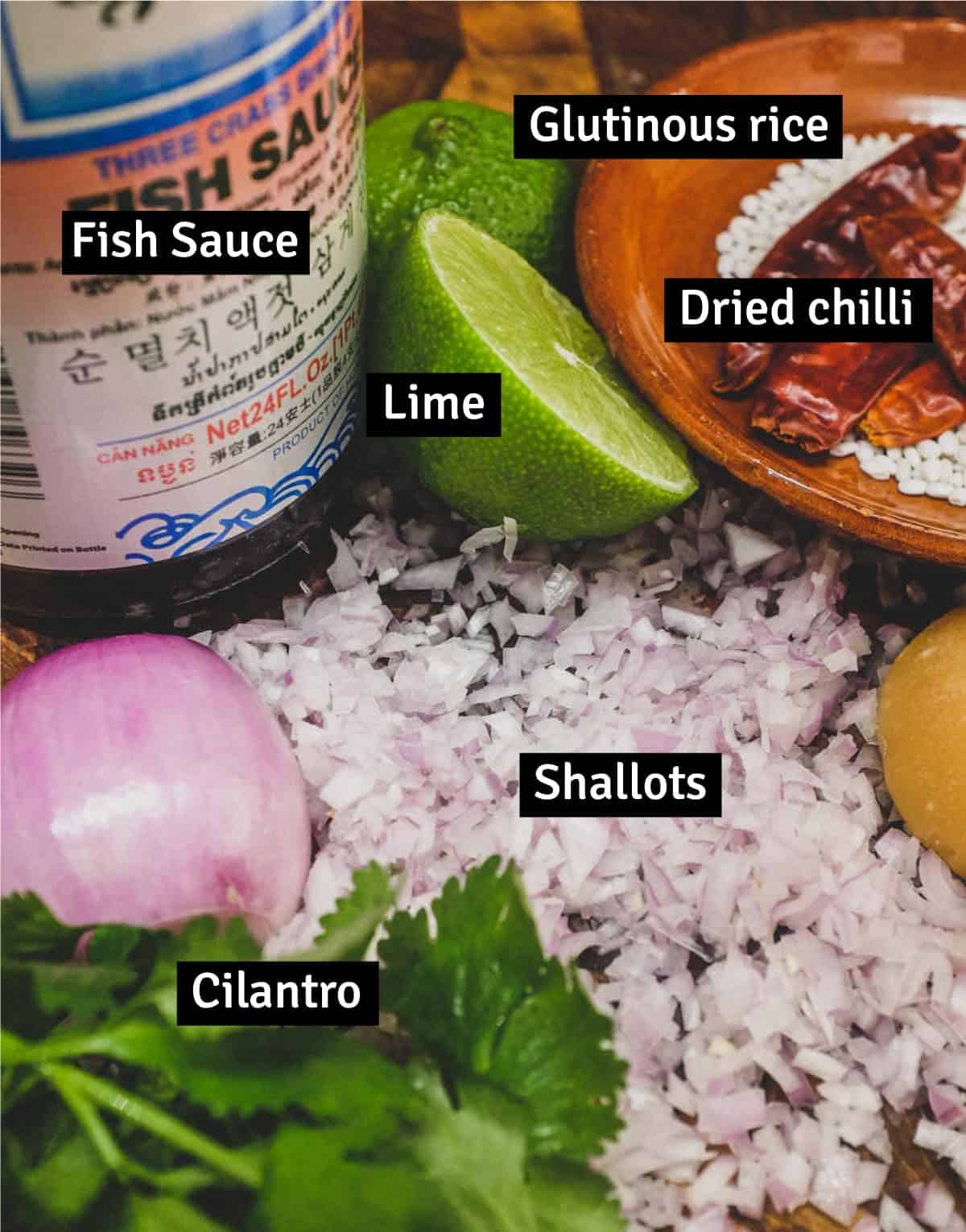 Ingredients for Nam JIm Jaew for Thai Crying Tiger Beef with Nam Jim Jaew Sauce | cookeatworld.com