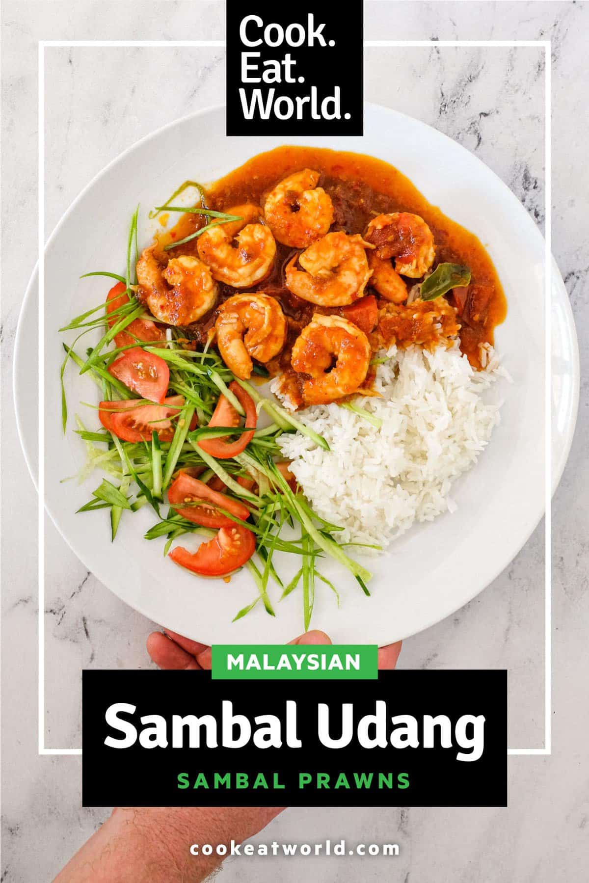 A plate of Sambal Udang (Sambal Prawns) with rice and a salad