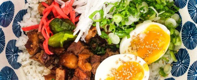 A Japanese pork rice bowl pork, spring onion, egg, radish and pickles.