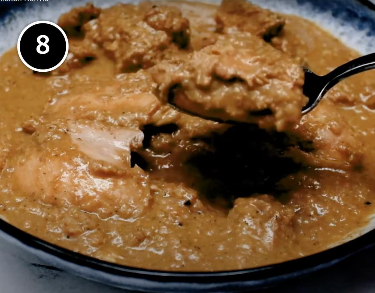 Tasting Chicken Korma curry