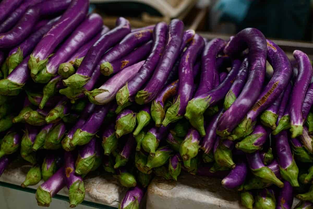 A selection of long and thin Chinese eggplants in a market