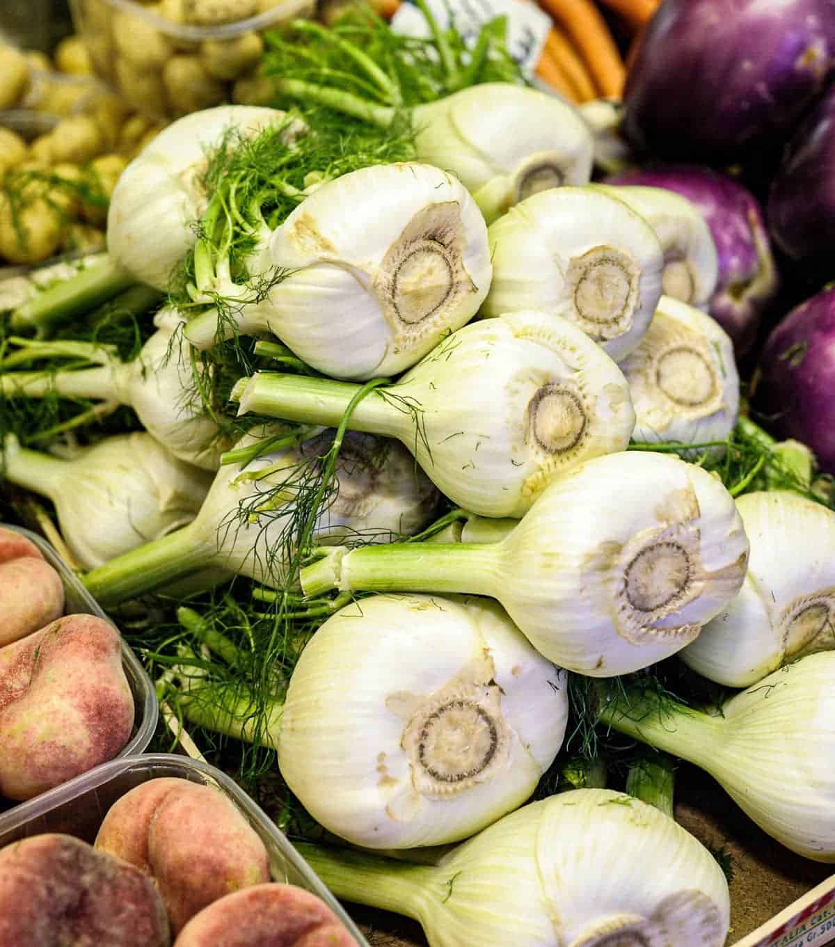 Fresh fennel for a Fennel & Orange Salad