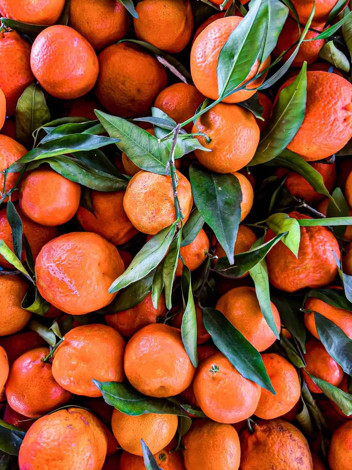 Fresh oranges for a Fennel & Orange Salad