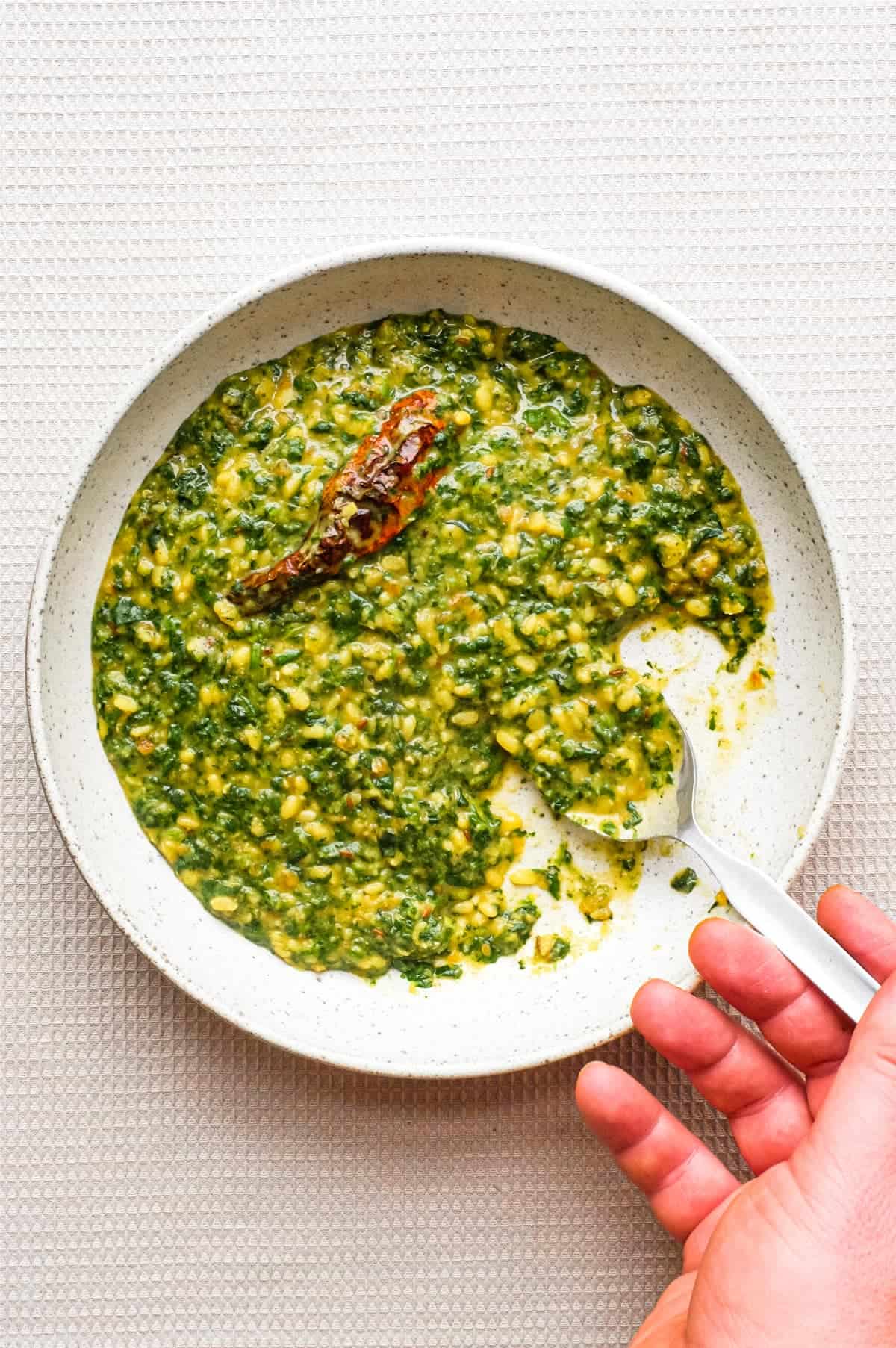 A bowl of Spinach Dal (Dal Palak) with a whole Kashmiri chilli in it.