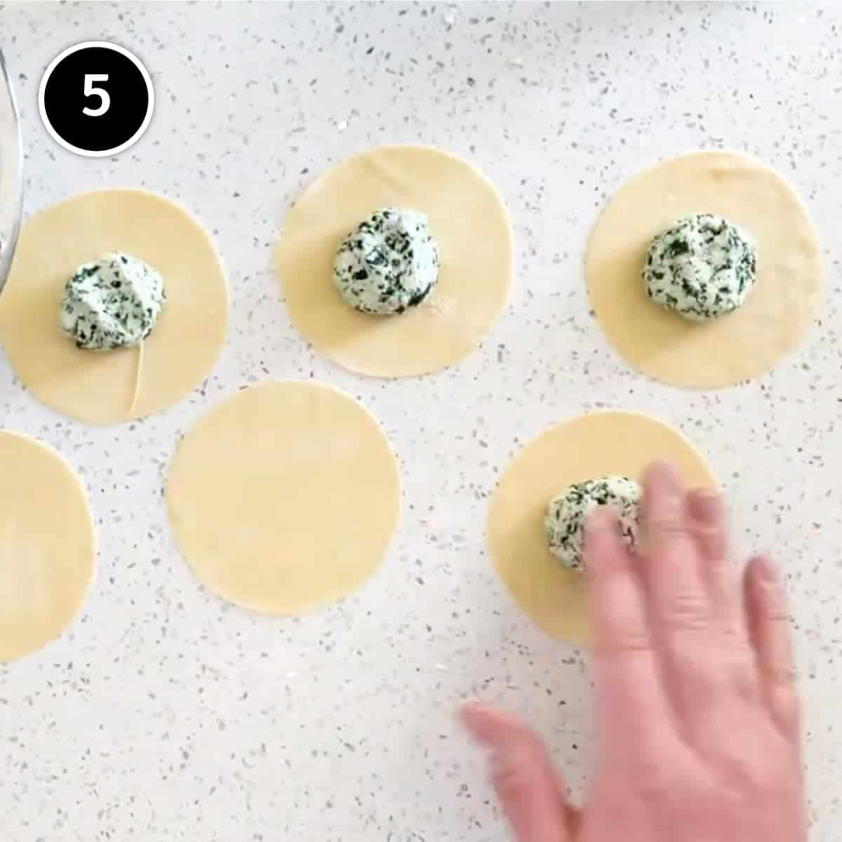 Discs of fresh pasta with a ball of cabbage and ricotta filling for Mezzelune stuffed pasta.
