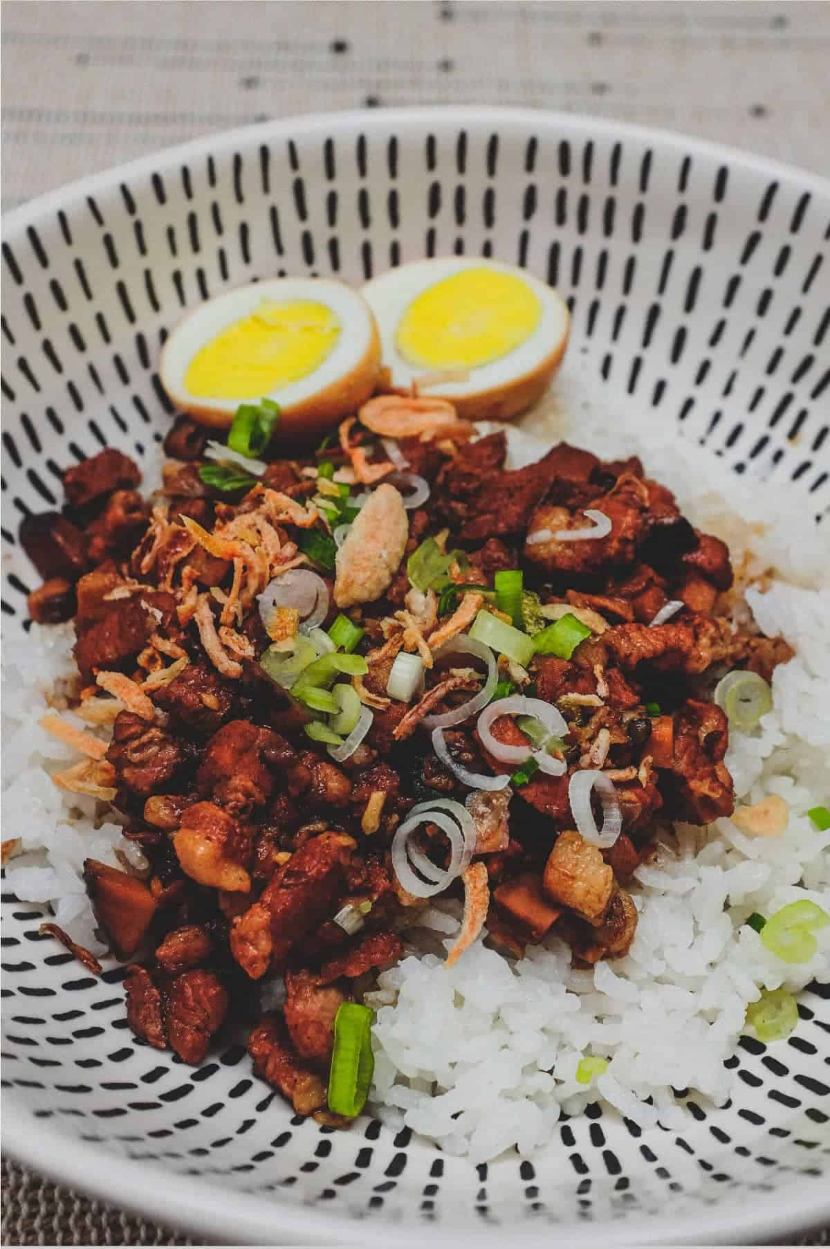 A bowl of Taiwanese braised pork (Lu Rou Fan) on a bed of rice with two egg halves, crispy onion and spring onions as a garnish.