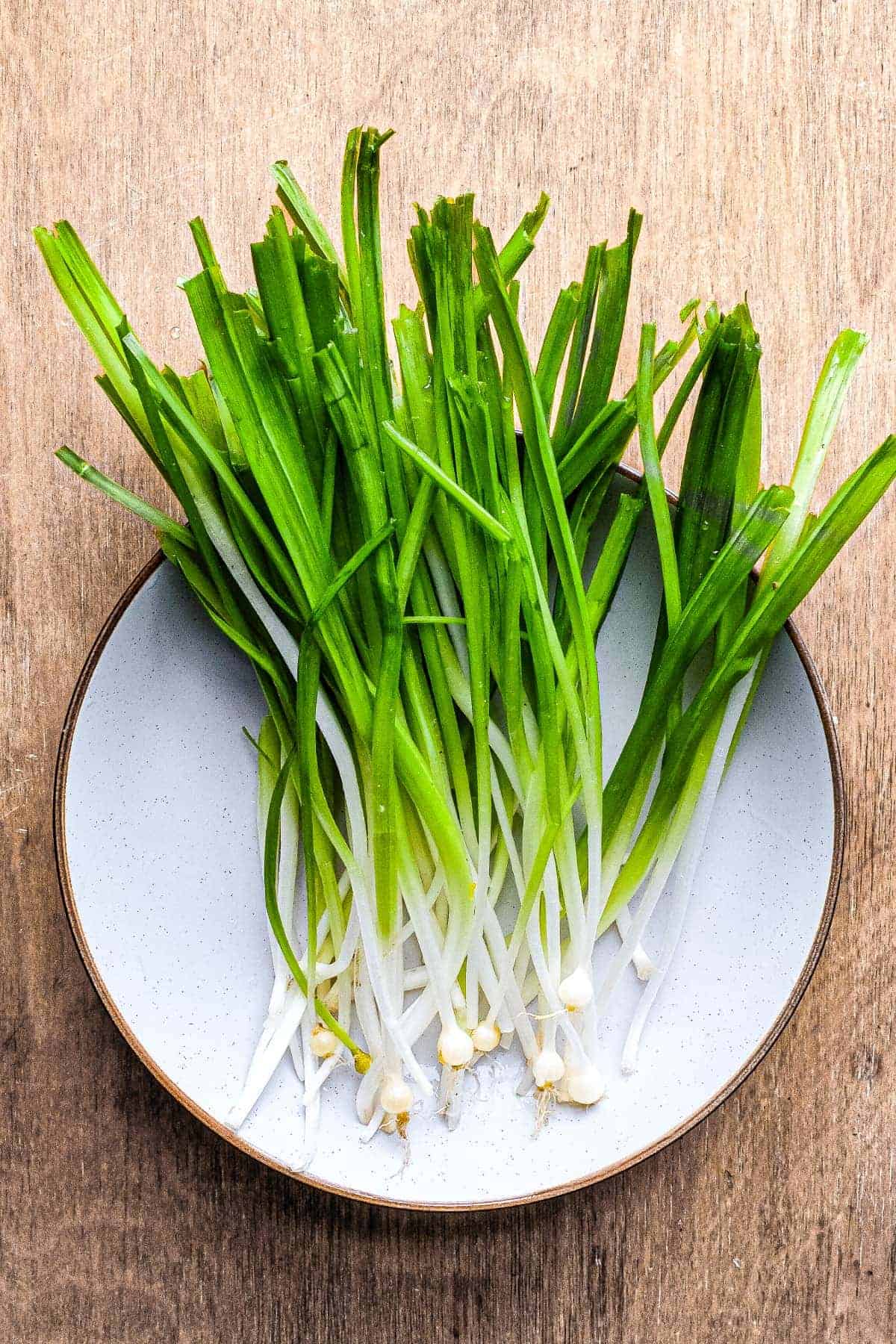 Wild onions freshly washed in a bowl