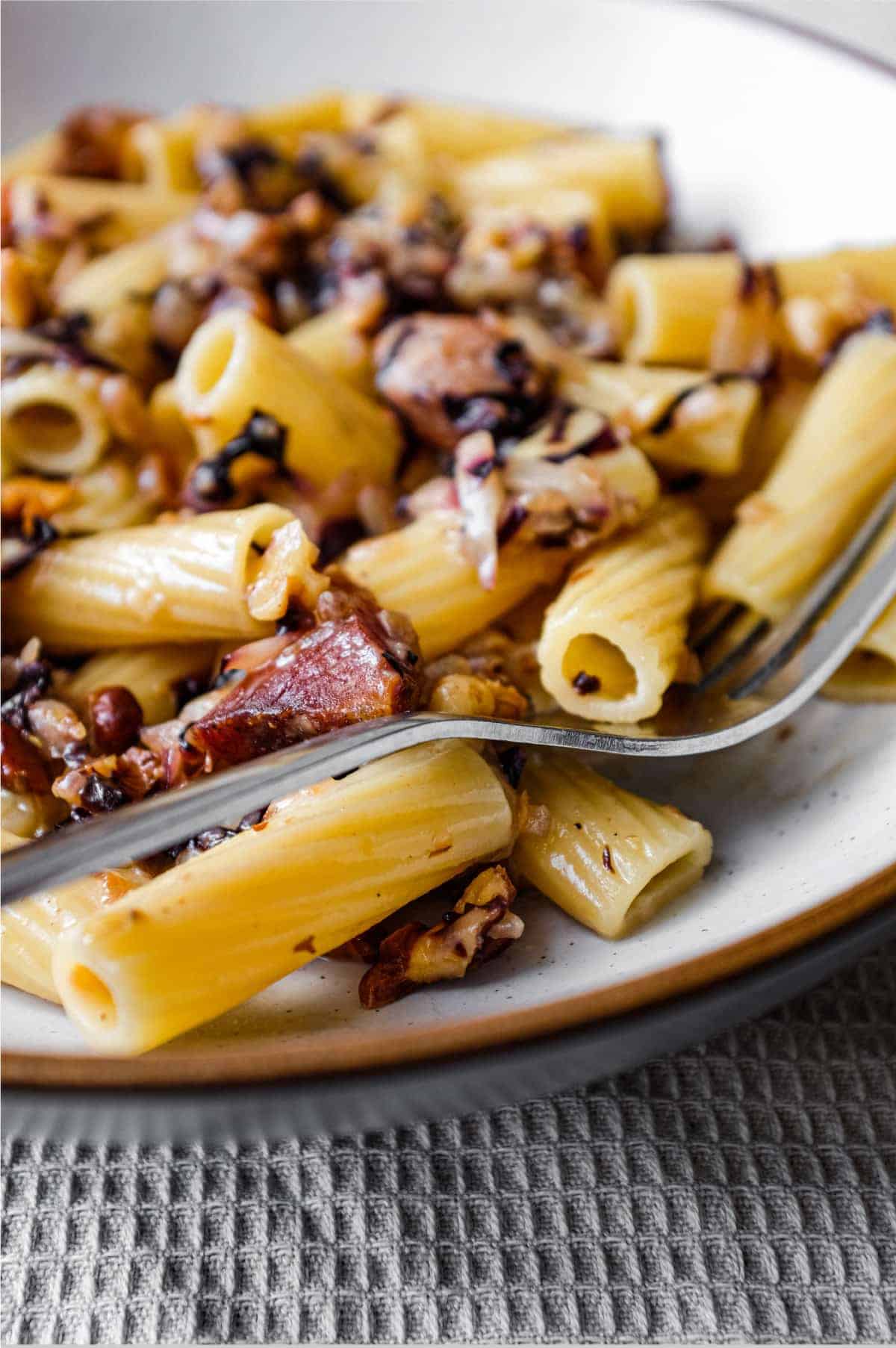 A bowl of rigatoni pasta with a radicchio, walnut and guanciale sauce in a bowl with a fork