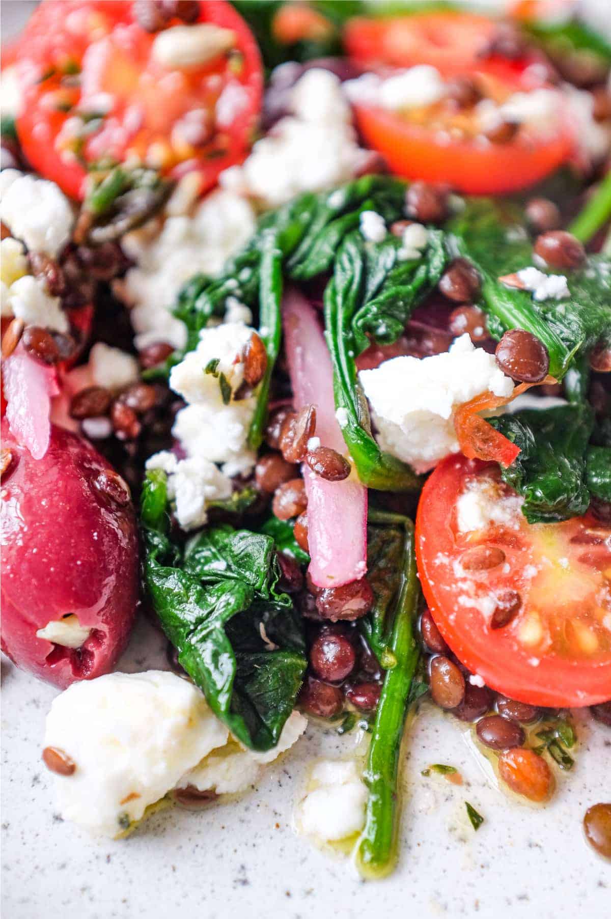 A bowl of Greek lentil salad featuring tomatoes, spinach, lentils, feta and red onion