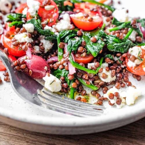 close up of lentil salad with feta crumbled over tomatoes and spinach
