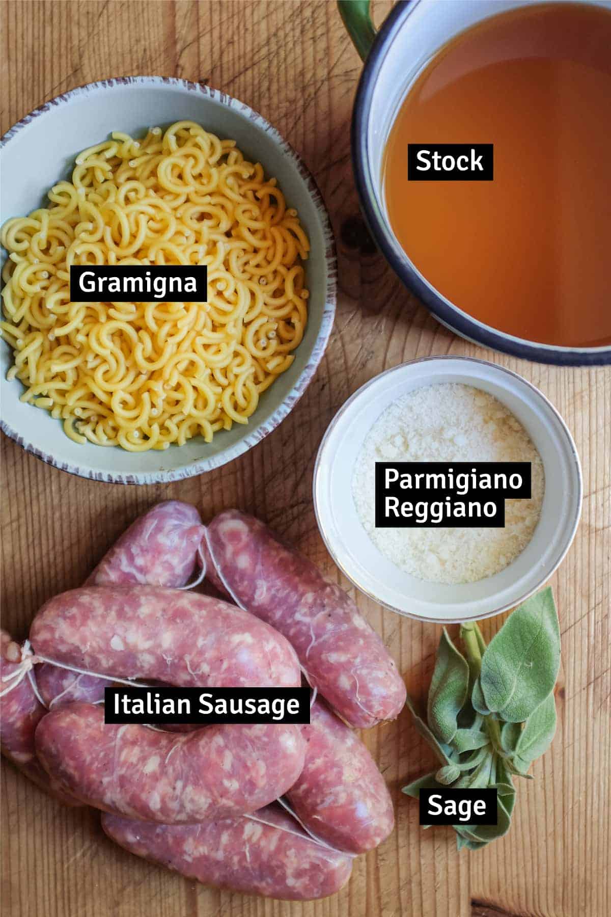The ingredients for Gramigna Pasta with Sausage: Gramigna Pasta, Sausage, Sage, Parmigiano Reggiano and Stock