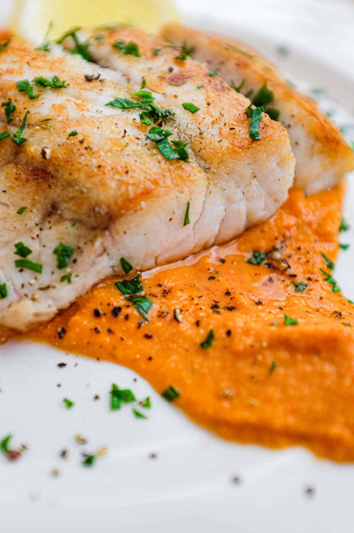 Pan fried fish on a bed of Spanish Romesco Sauce