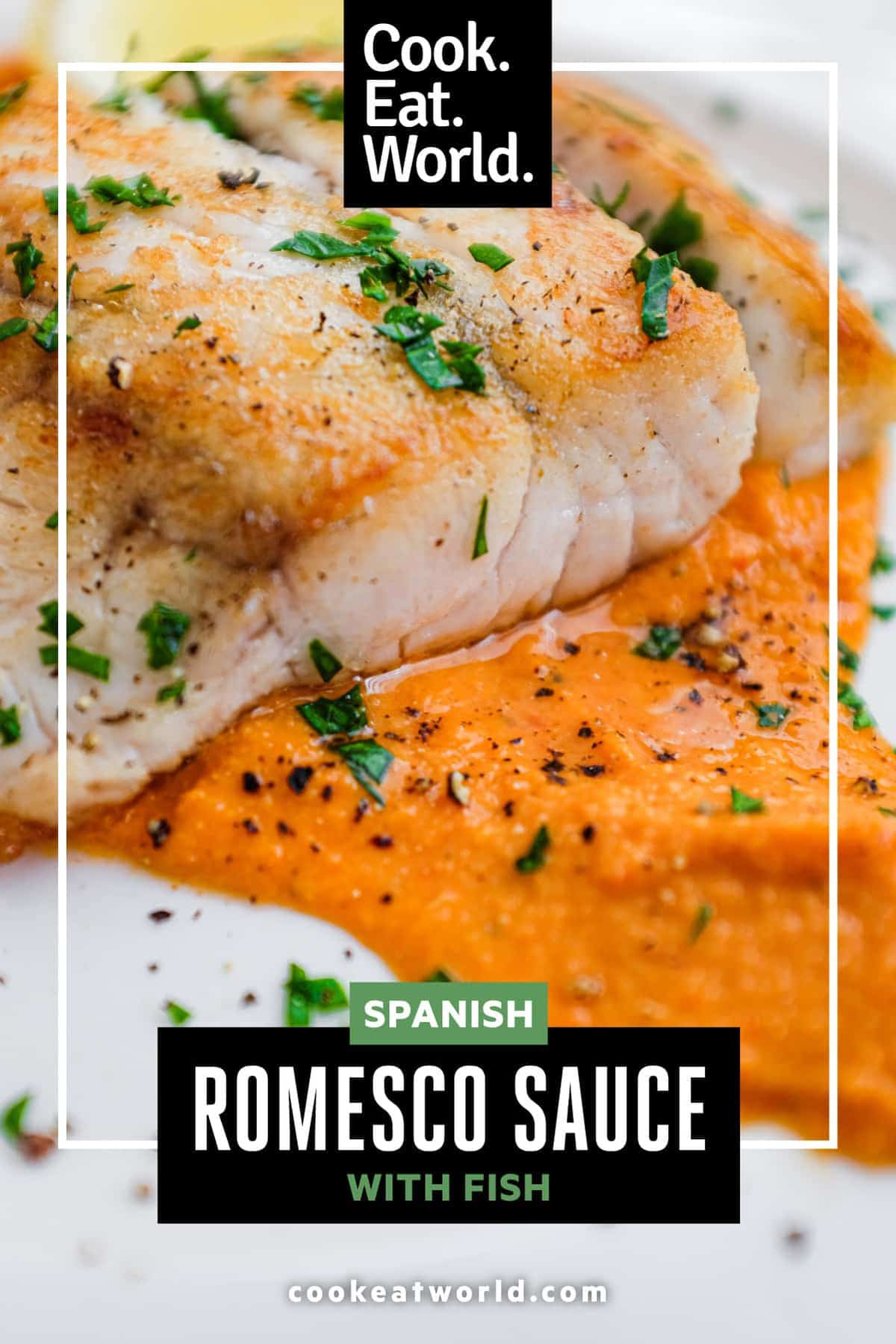 Pan fried fish on a bed of Spanish Romesco Sauce