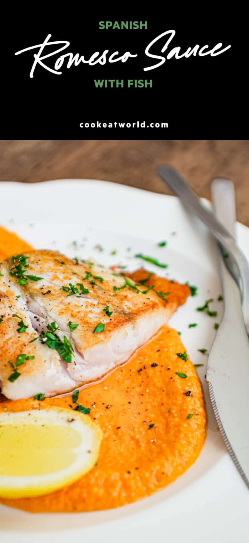 Pan fried fish on a bed of Spanish Romesco Sauce