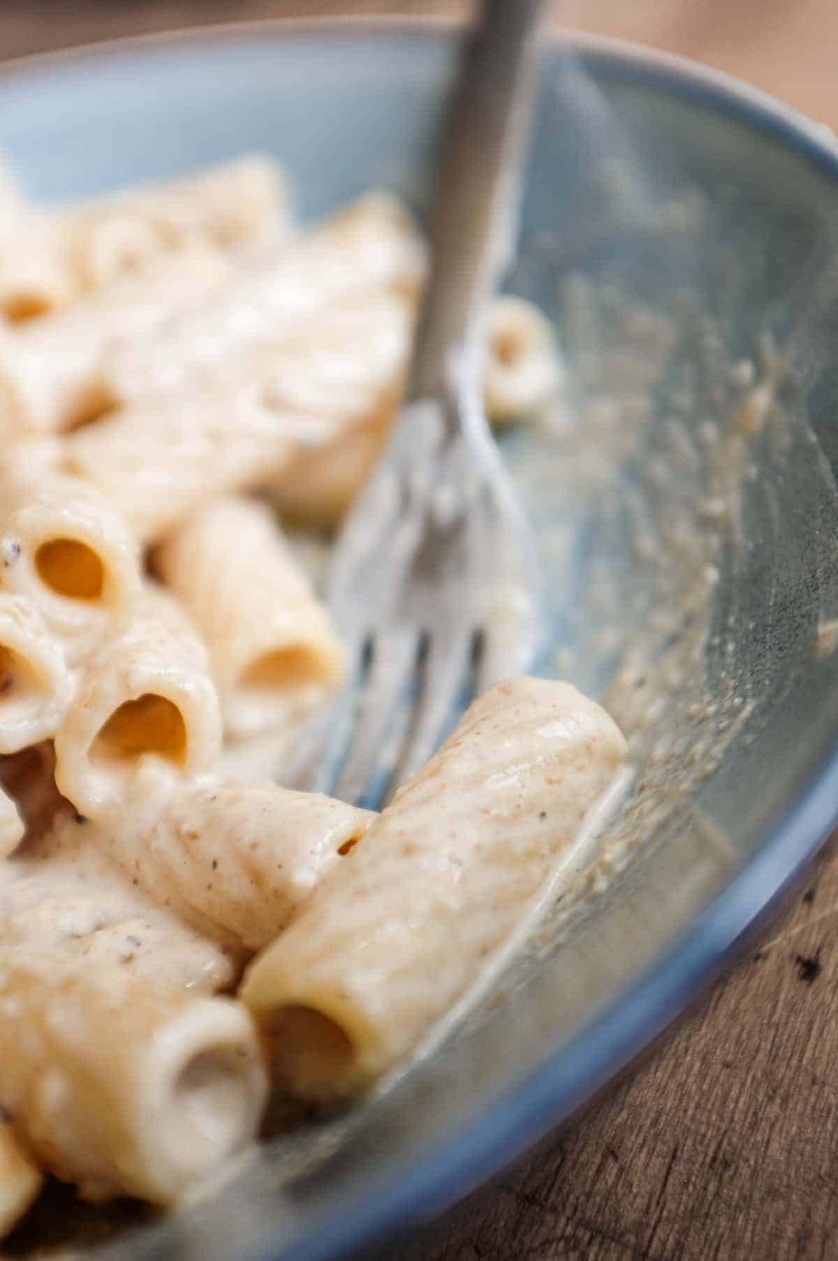 A bowl of Ligurian Tubular Pasta with Walnut Sauce