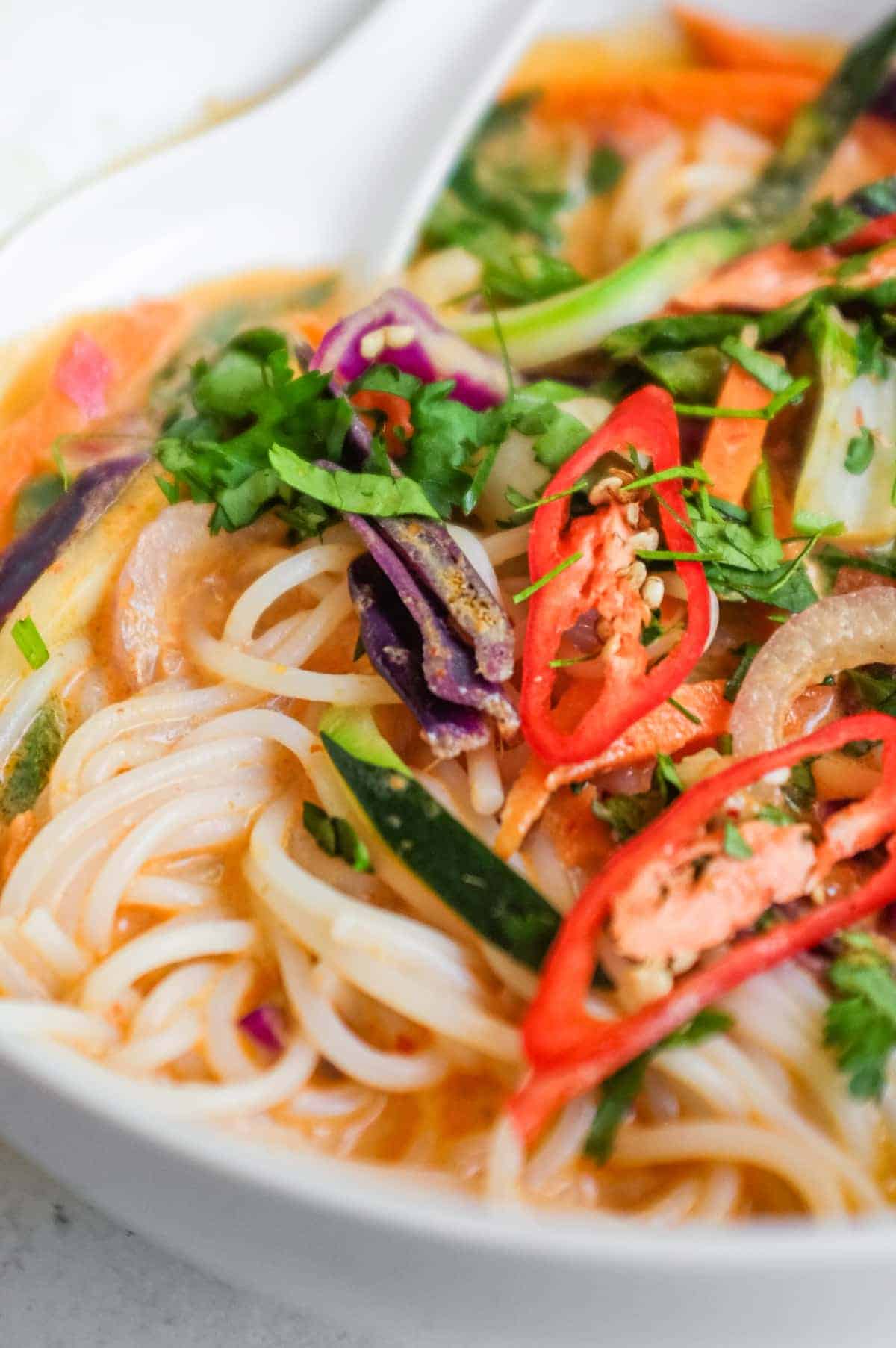 A close up view of a bowl of Thai red curry noodles with fresh vegetables.