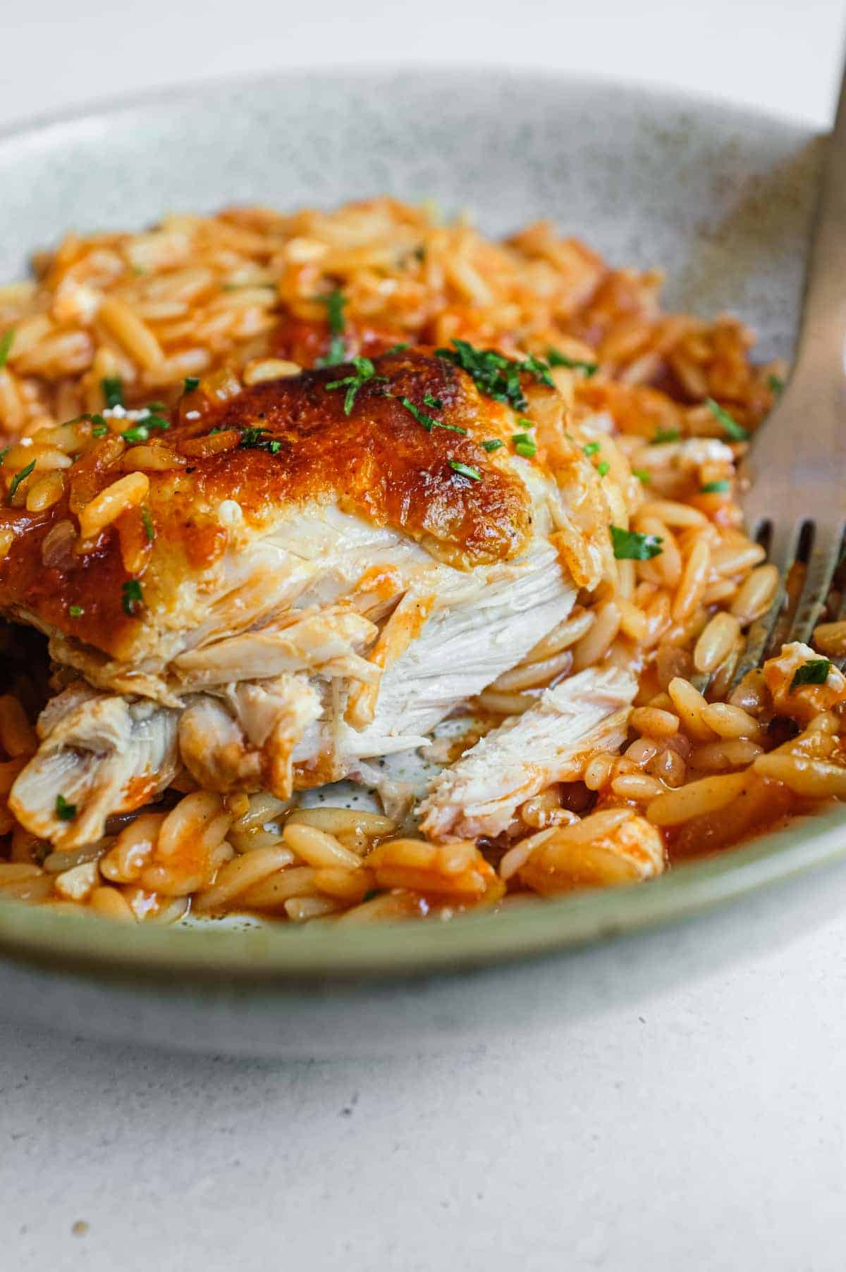 A close up shot of a bowl of Greek Youvetsi Chicken,.
