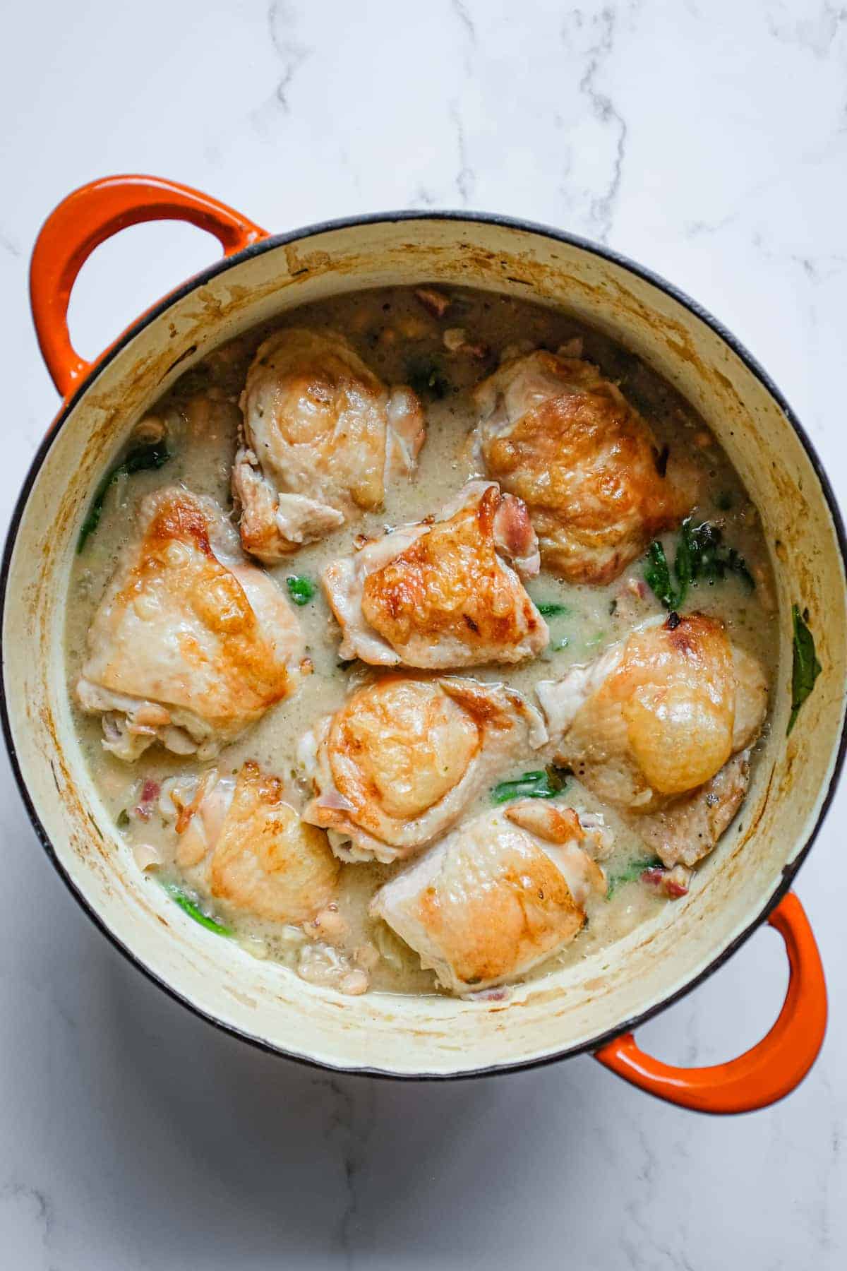 A wide pan of golden roasted chicken thighs resting on creamy cannellini beans with fennel and pancetta.