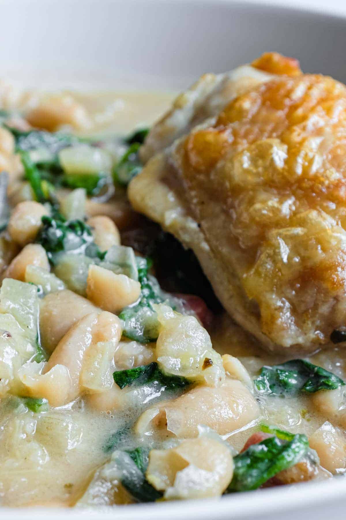 Rustic Italian chicken and bean dish served in a bowl with fennel and herbs.