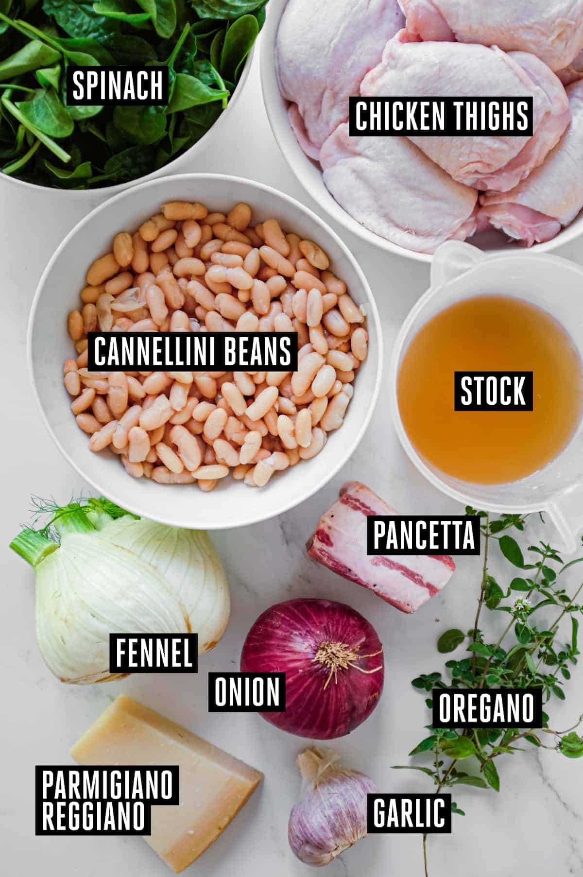 Italian Chicken Thighs with Cannellini Beans and Fennel | cookeatworld.com The listed ingredients for Italian chicken thighs with Cannellini beans: Chicken thighs, spinach, onion, fennel, oregano, pancetta, cannellini beans, stock and Parmigiano Reggiano.