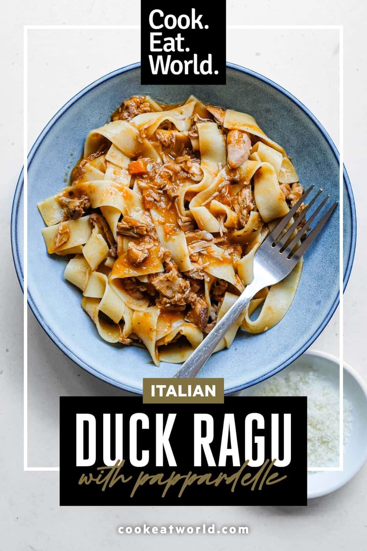An overhead shot of a small bowl of juicy duck rag&ugrave; with pappardelle pasta.