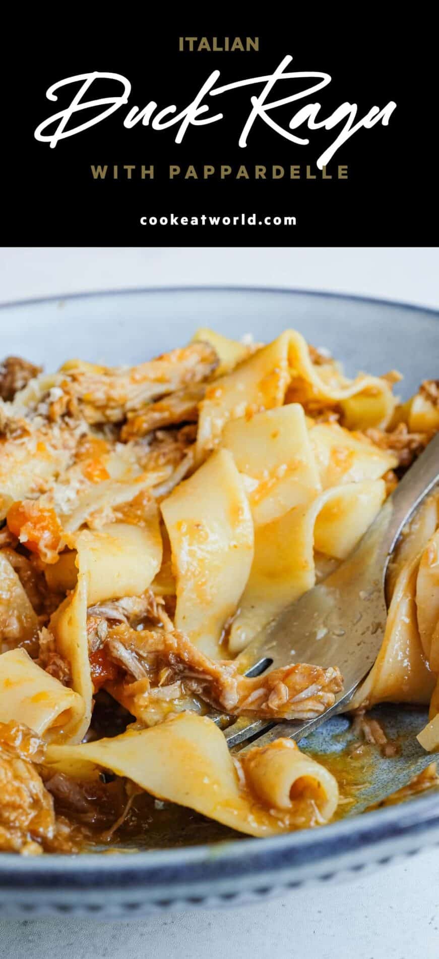 A bowl of thick ribboned pappardelle pasta with duck rag&ugrave;.