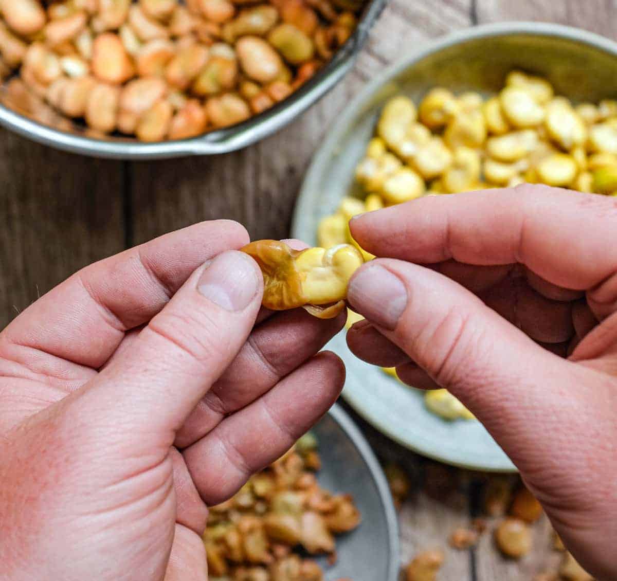 Hands showing how to slip the skin off a fava bean.