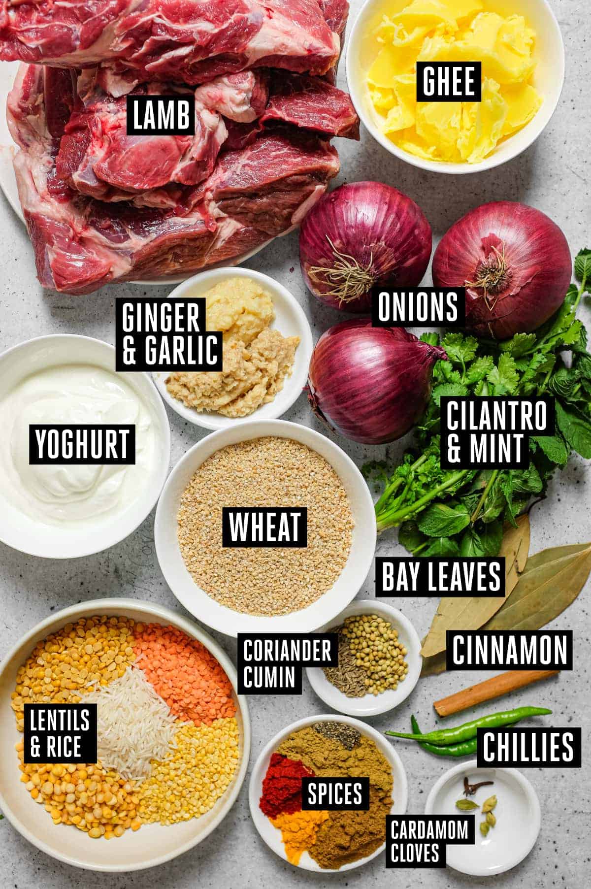 Hyderabadi Haleem (Lamb & Lentil Stew) | cookeatworld.com The ingredients laid out for Hyderabadi Haleem: Lamb, ghee, onion, mint, cilantro, cracked wheat, yoghurt, spices, lentils, basmati, bay leaves, garlic and ginger.