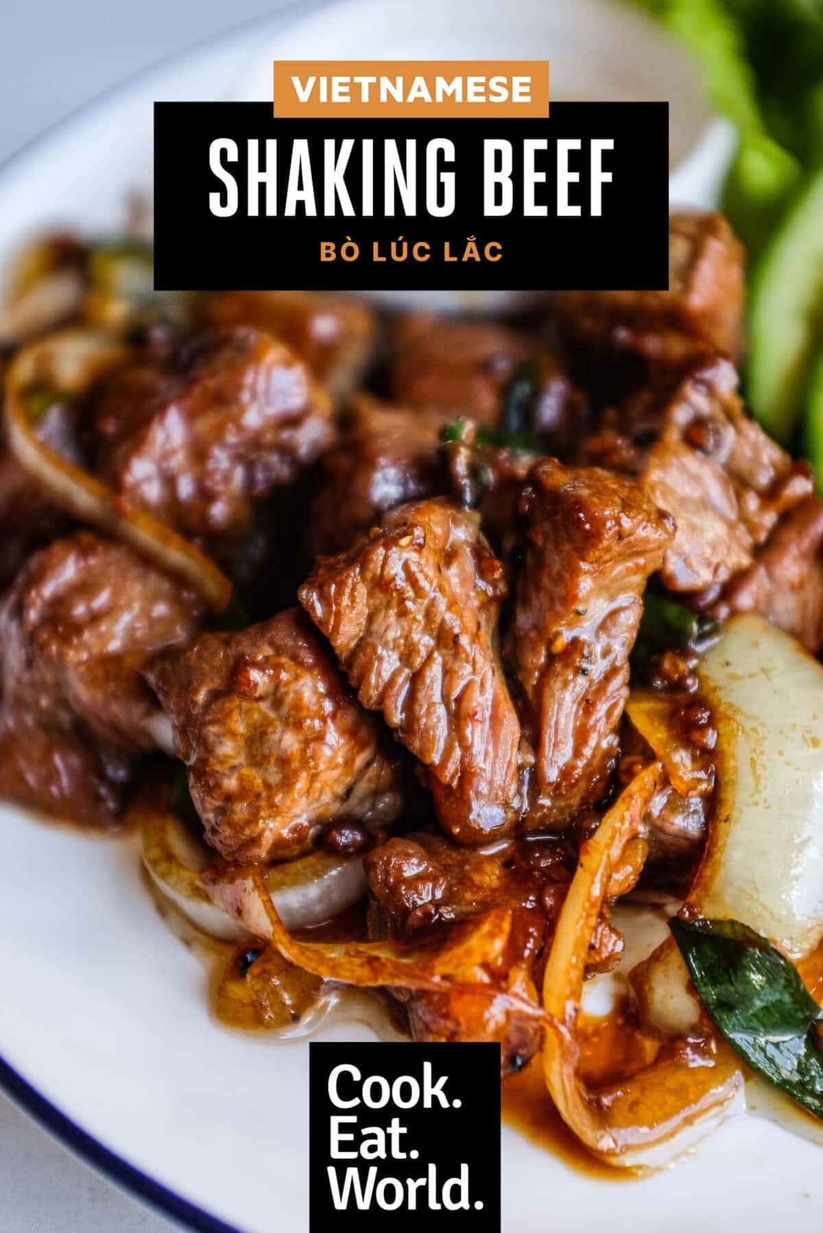 Vietnamese shaking beef tossed with yellow onion and sliced spring onion