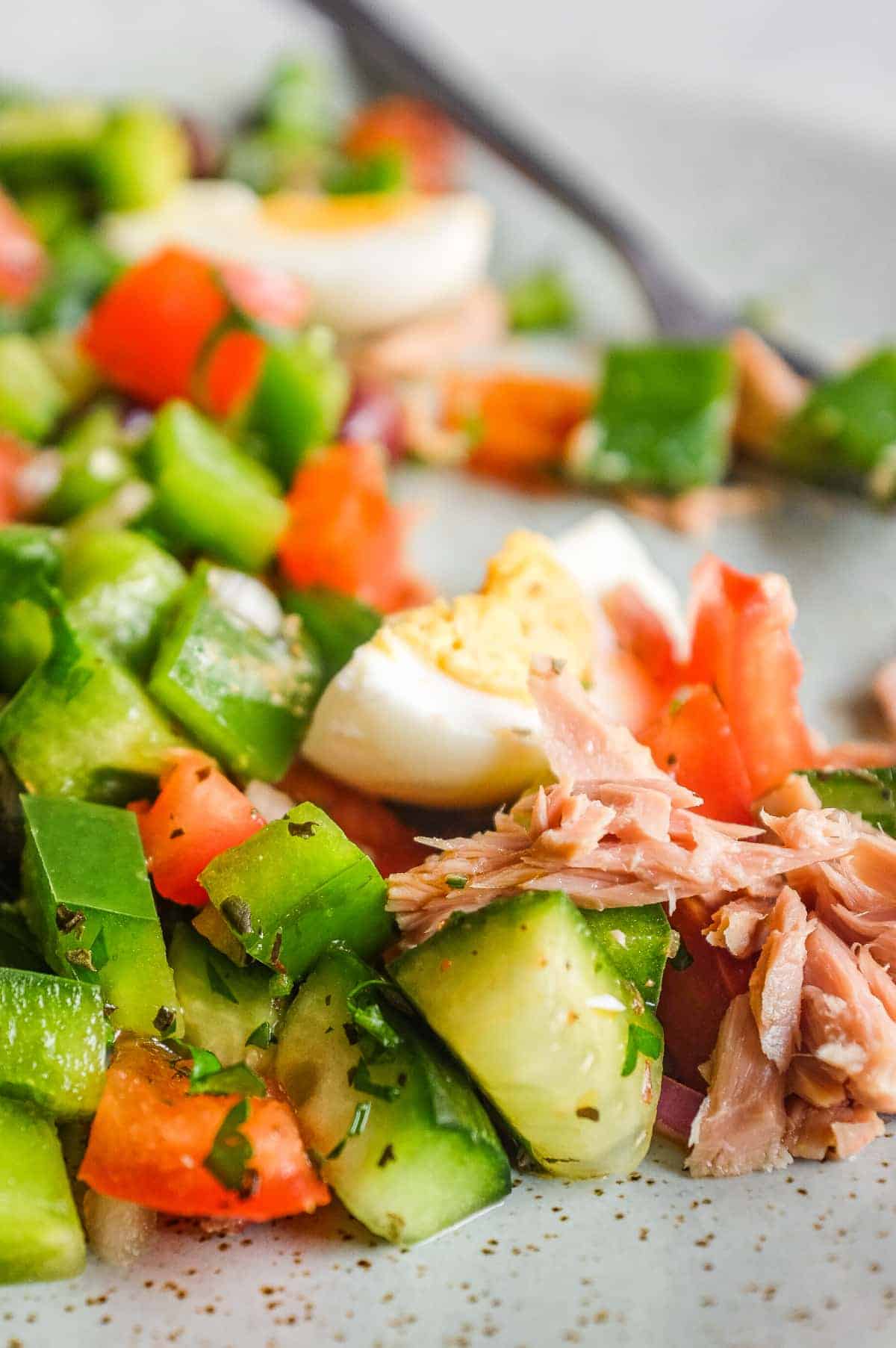 Close-up of Tunisian salad with tomato, cucumber, green pepper, tuna and boiled eggs