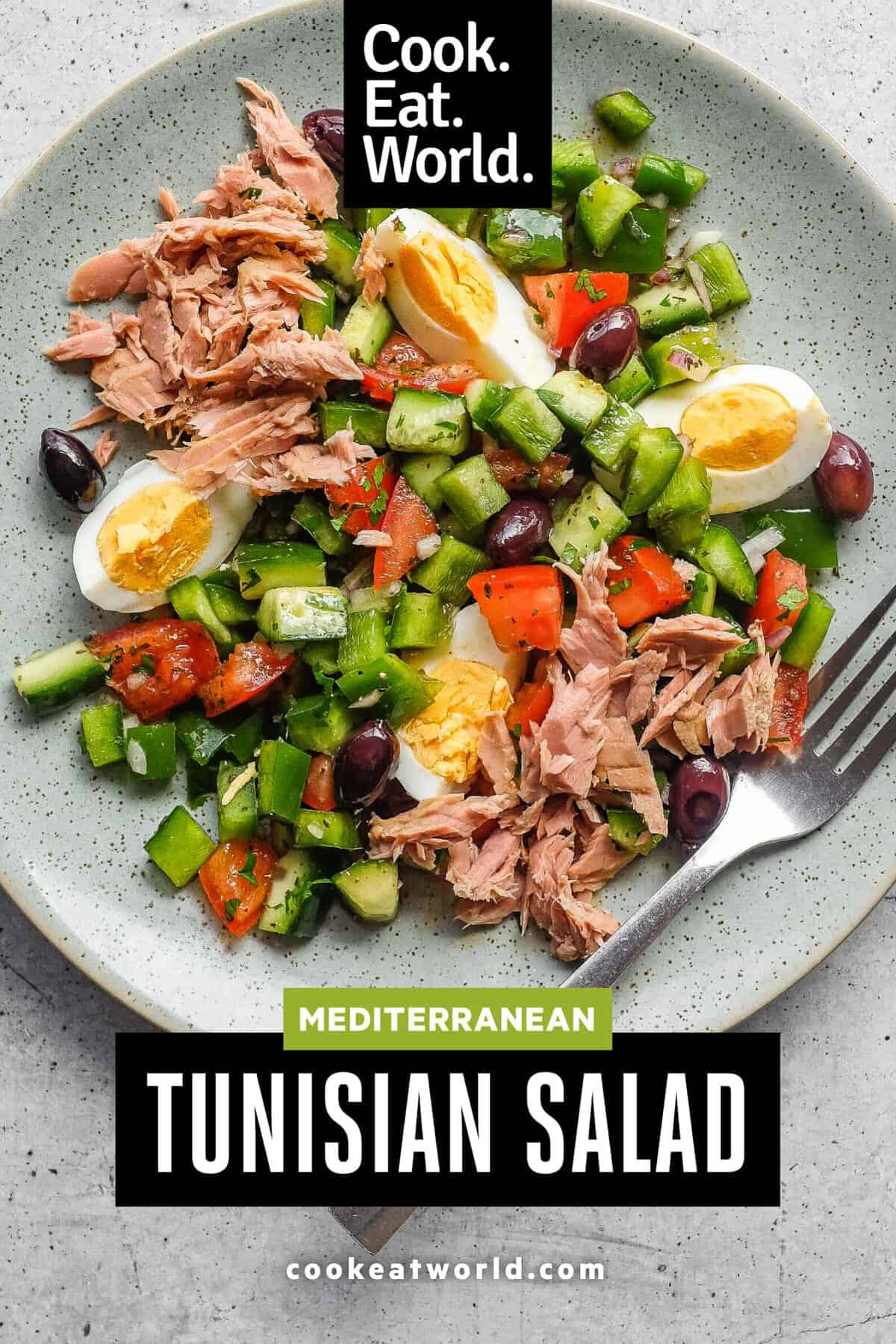 Close-up of Tunisian salad with tomato, cucumber, green pepper, tuna and boiled eggs