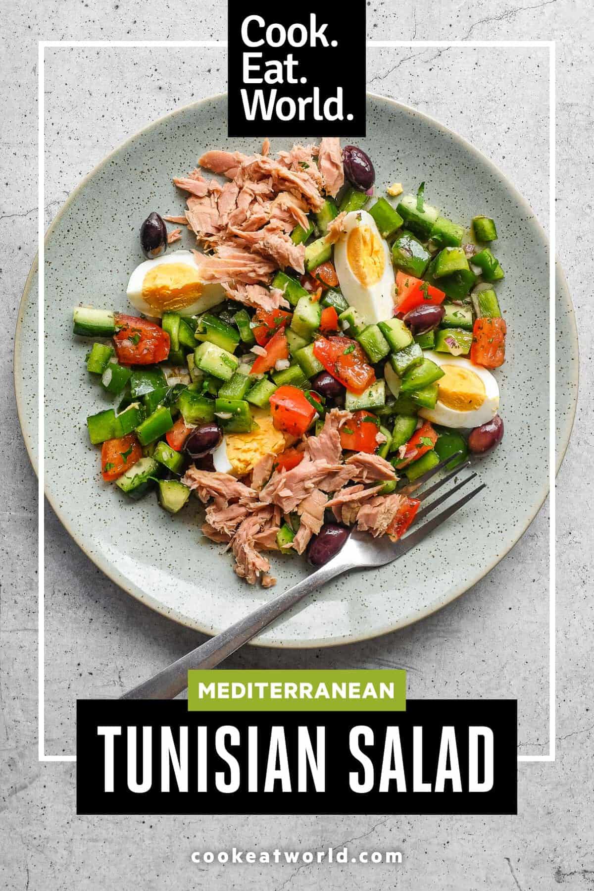 Close-up of Tunisian salad with tomato, cucumber, green pepper, tuna and boiled eggs